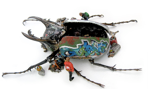 Cyborg taxidermy transforms beetles into airplanes and buses